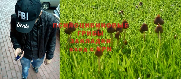 mix Зеленокумск